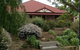 Frog Song At Willunga - thumb 1