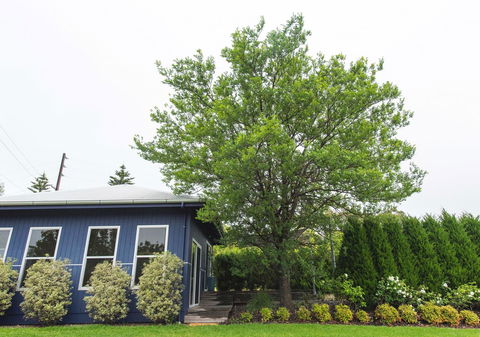 S T U D I O 22 Peaceful Retreat With Garden Views - Accommodation Burleigh 11