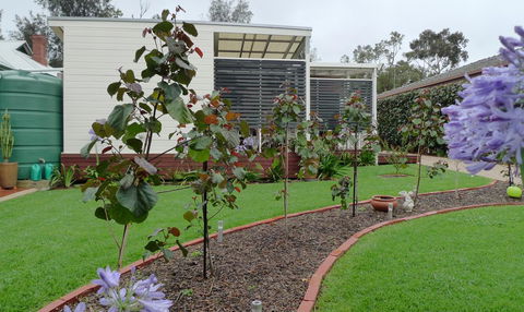 Grassmere House Magill - Accommodation Burleigh 19