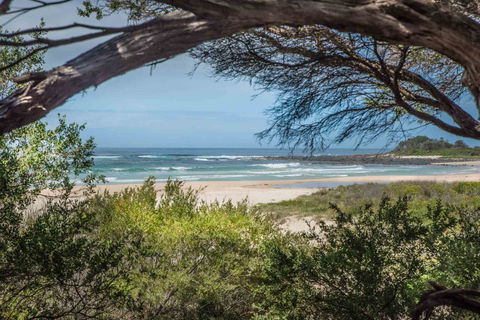 BIG4 Tasman Holiday Parks - Racecourse Beach - Accommodation Burleigh 7