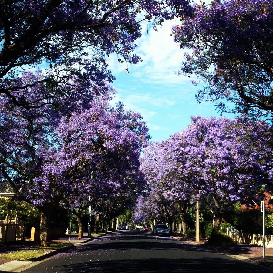 Clarence Park SA Accommodation Burleigh