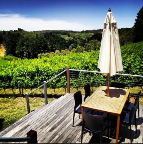 Monaco Court Apartment Adelaide - Accommodation Burleigh 27
