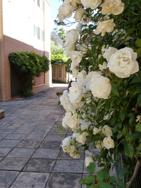 Monaco Court Apartment Adelaide - Accommodation Burleigh 19
