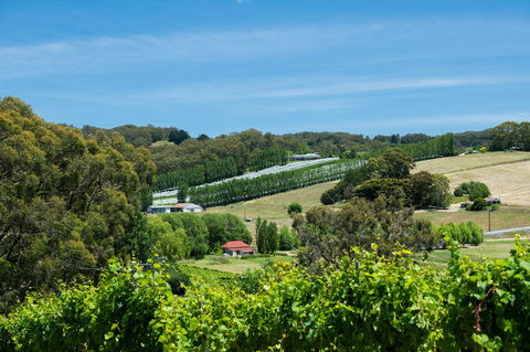 The Other House - Accommodation Burleigh 3