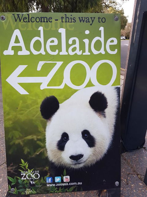 Adelaide Style Accommodation-Close To City-North Adelaide-3 Bdrm- FREE Parking - Accommodation Burleigh 35