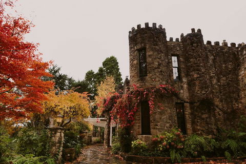 The Manor Basket Range - Accommodation Burleigh 15