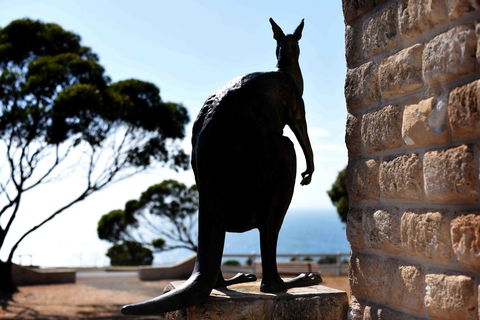 Admirals Inn - Accommodation Burleigh 12