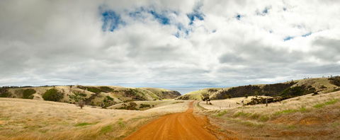 Penneshaw Oceanview Apartments - Accommodation Burleigh 20