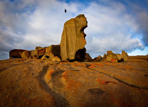 Penneshaw Oceanview Apartments - Accommodation Burleigh 23