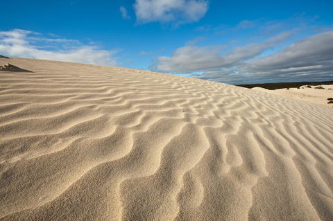 Penneshaw Oceanview Apartments - Accommodation Burleigh 24