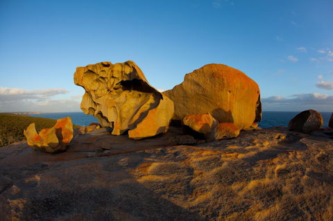 Penneshaw Oceanview Apartments - Accommodation Burleigh 21