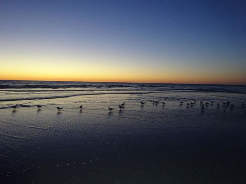 Selene Holiday Apartment @West Beach - Accommodation Burleigh 6