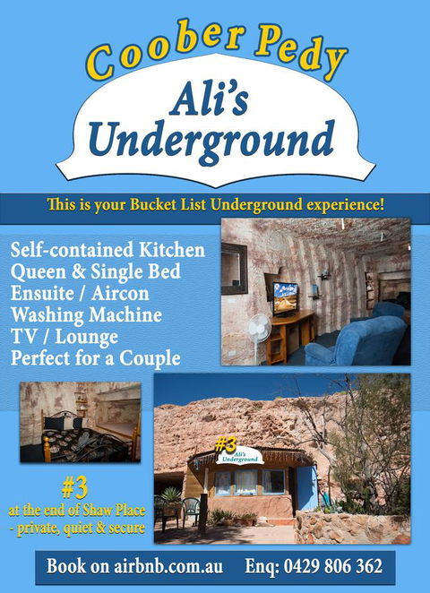 Ali\'s Underground Studio - Accommodation Burleigh 12