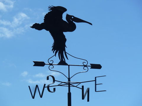 SeaShells Penneshaw - Accommodation Burleigh 5