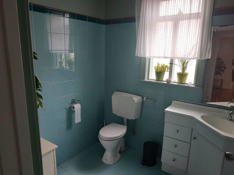 Diamond On Olive - Accommodation Burleigh 1
