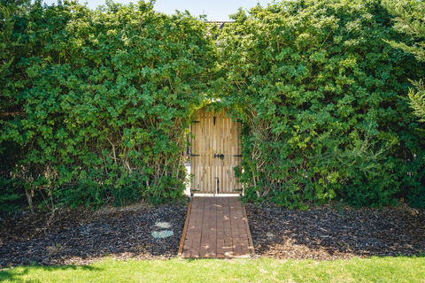 Mick O\'Sheas - Accommodation Burleigh 32