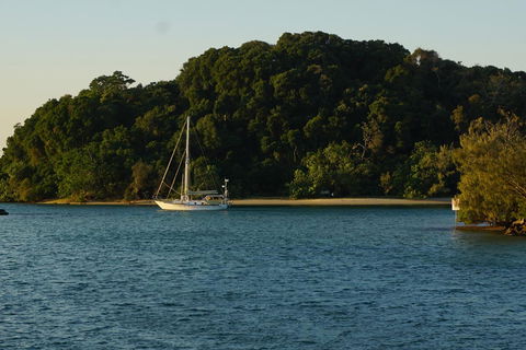 Brunswick Heads Treetop Studio - Accommodation Burleigh 9