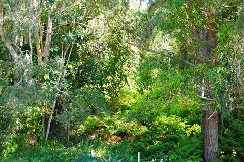 Brunswick Heads Treetop Studio - Accommodation Burleigh 20