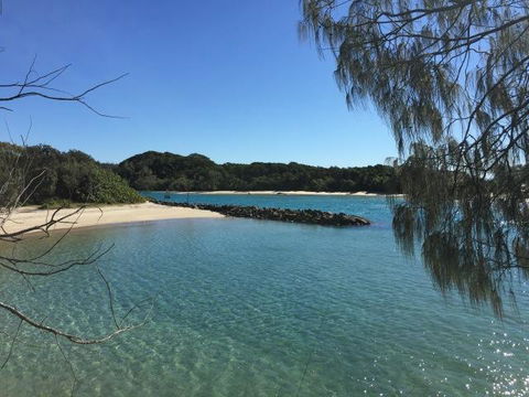 Brunswick Heads Treetop Studio - Accommodation Burleigh 22