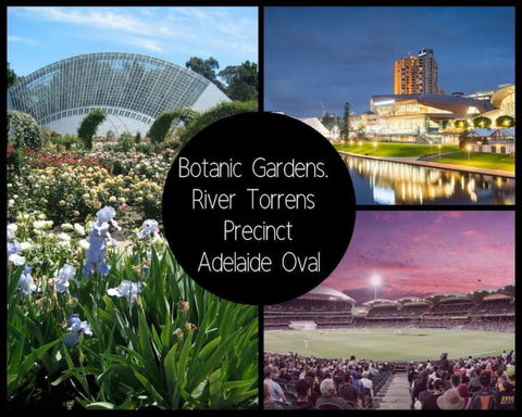 Project BNB On York - Accommodation Burleigh 13