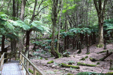 Wallace Lodge - PID-STRA-16871 - Accommodation Burleigh 11