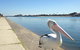Lakeside - thumb 12