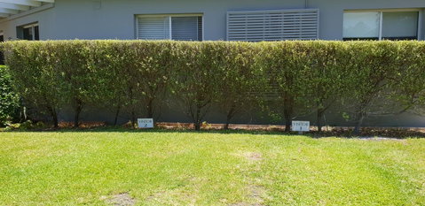 2 Austinmer Studio - Accommodation Burleigh 12