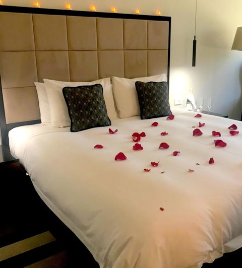 Ellen Hotel - Accommodation Burleigh 5