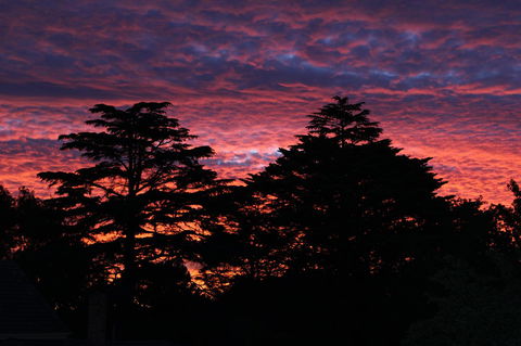 Pirralilla Estate Adelaide Hills - Accommodation Burleigh 26
