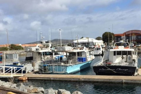 Port Lincoln Shark Apartment 2 - Accommodation Burleigh 17