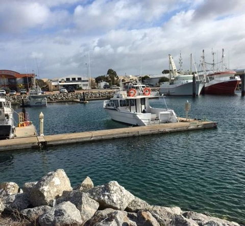 Port Lincoln Shark Apartment 2 - Accommodation Burleigh 18