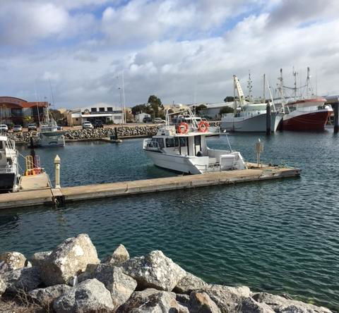 Port Lincoln Shark Apartment 3 - Accommodation Burleigh 1