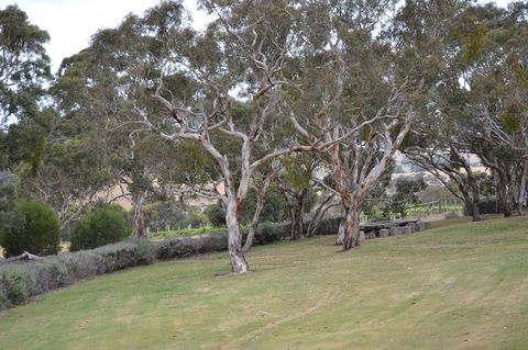 Cabernet Cottage - Accommodation Burleigh 8
