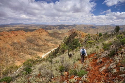 Arkaroola Wilderness Sanctuary - Accommodation Burleigh 4