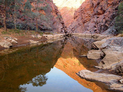 Arkaroola Wilderness Sanctuary - Accommodation Burleigh 6