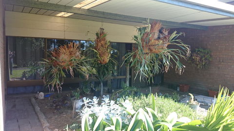Hilltop Escape - Accommodation Burleigh 11