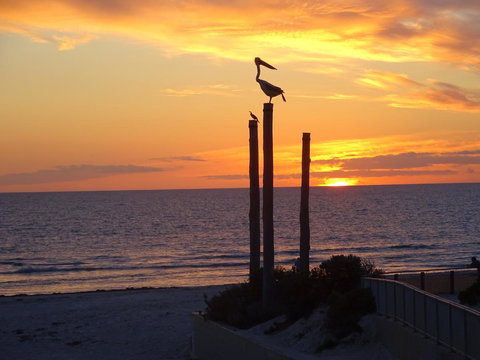 Aurora Holiday Apartment @West Beach - Accommodation Burleigh 12