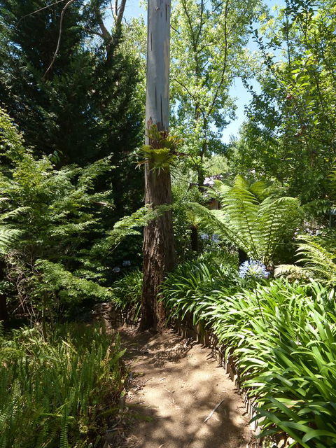 Aldgate Creek Cottage Bed And Breakfast - Accommodation Burleigh 27