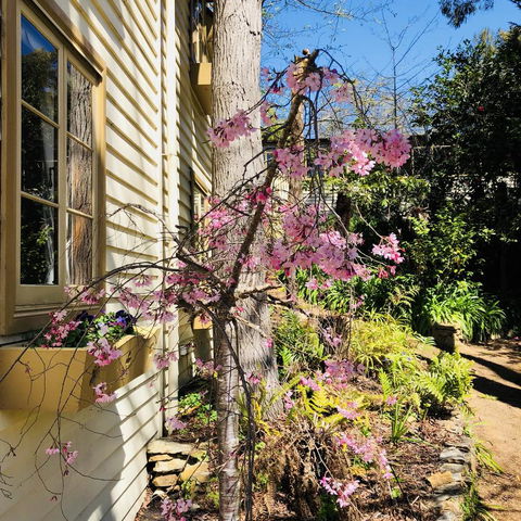 Aldgate Creek Cottage Bed And Breakfast - Accommodation Burleigh 19