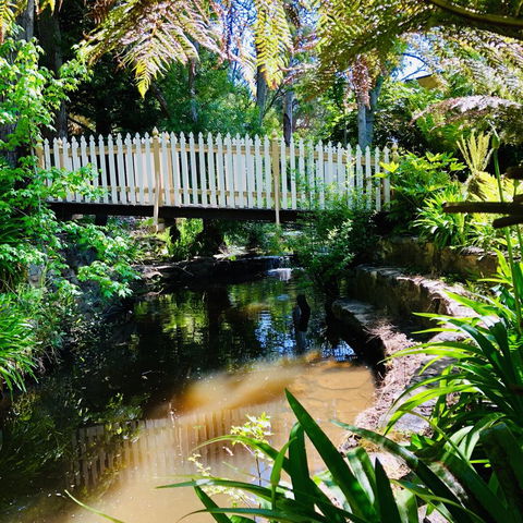 Aldgate Creek Cottage Bed And Breakfast - Accommodation Burleigh 24