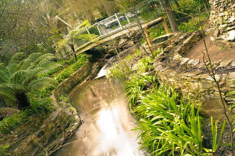Aldgate Creek Cottage Bed And Breakfast - Accommodation Burleigh 17