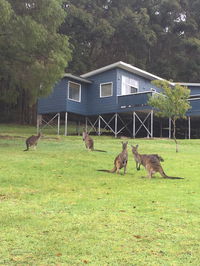 Book Denmark Accommodation Vacations Accommodation Burleigh Accommodation Burleigh
