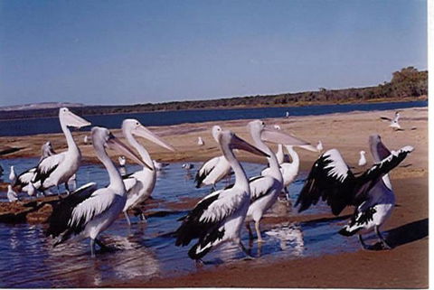 Unit 42 Kalbarri Beach Resort - Accommodation Burleigh 17