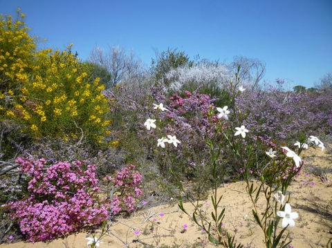 Unit 42 Kalbarri Beach Resort - Accommodation Burleigh 26
