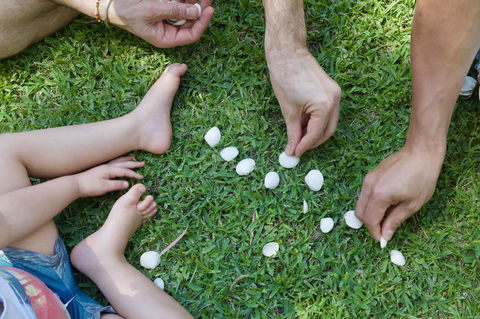 Broadwater Resort WA Tourism Awards 2024 Gold Winner - Accommodation Burleigh 8