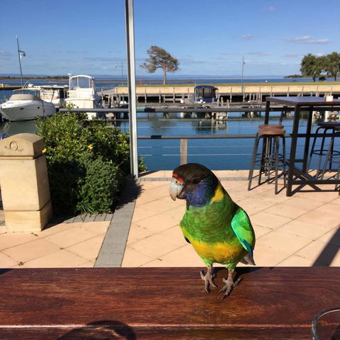 Mandurah Quay Resort - Accommodation Burleigh 32