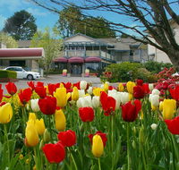 Nesuto Leura Gardens formerly Waldorf Leura Gardens Resort - Accommodation Burleigh