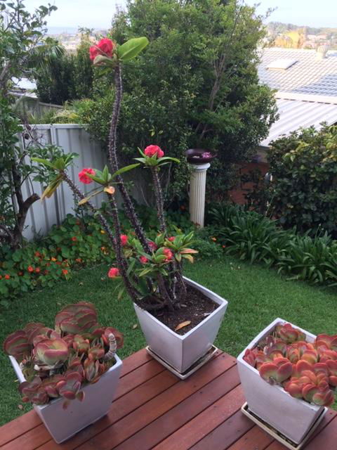 Churchill View Forster - Accommodation Burleigh 11
