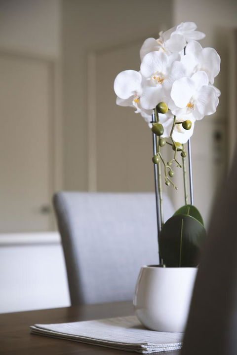 Quest Wagga Wagga - Accommodation Burleigh 18