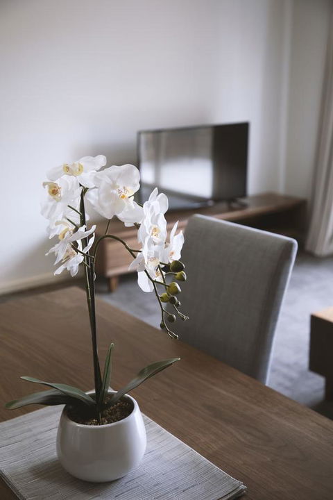 Quest Wagga Wagga - Accommodation Burleigh 11
